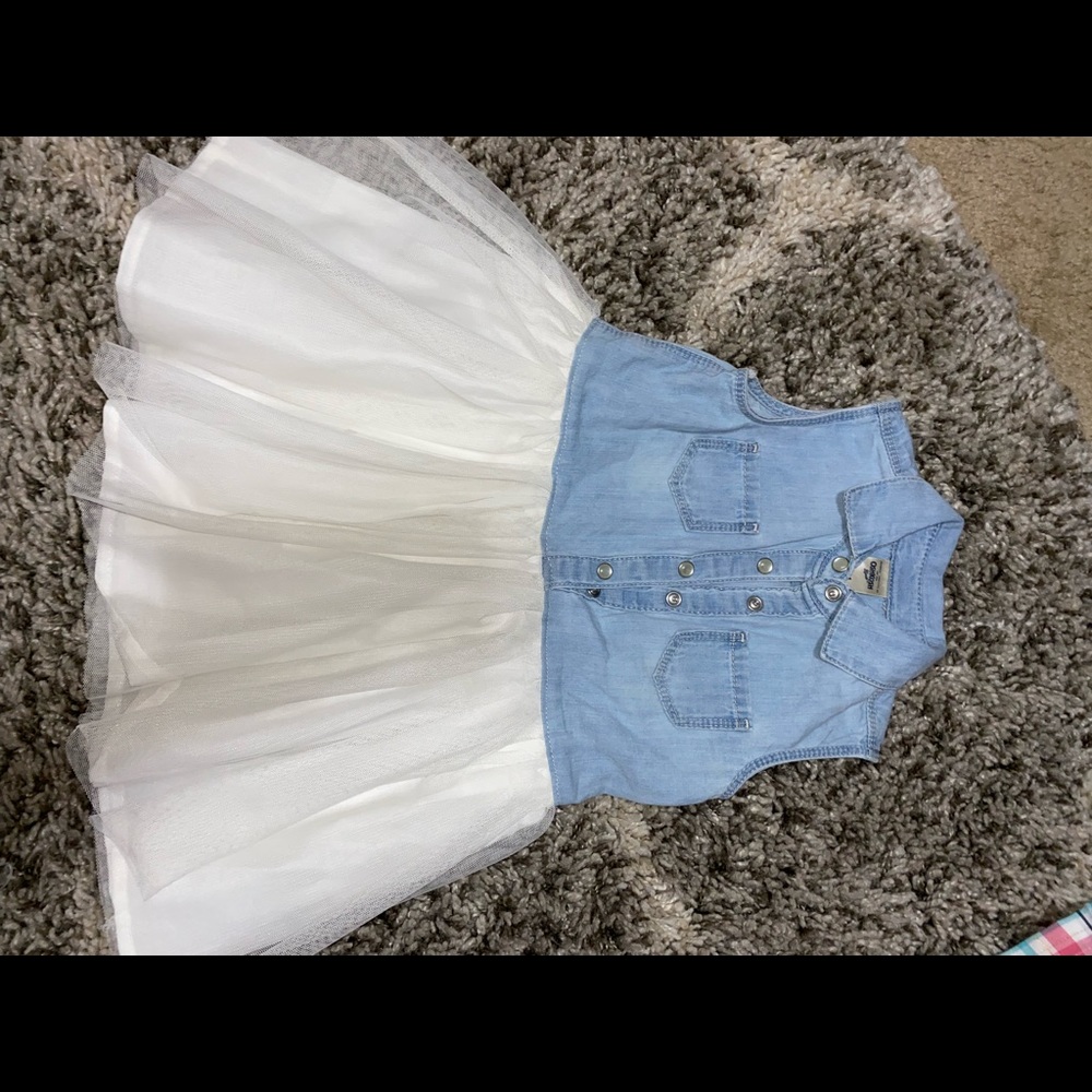 Oshkosh denim and tule dress